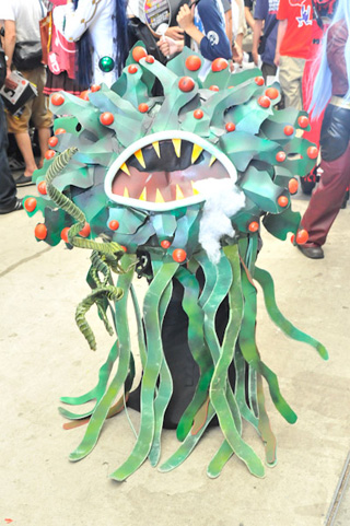 “完美体育平台”小白菜营养价值远高于大白菜